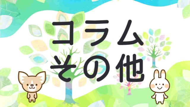 認知機能検査が全てわかる 体験談 認知機能検査を試しに受けてみた ２ ちくたくbooboo Com 自動車教習所に行こう